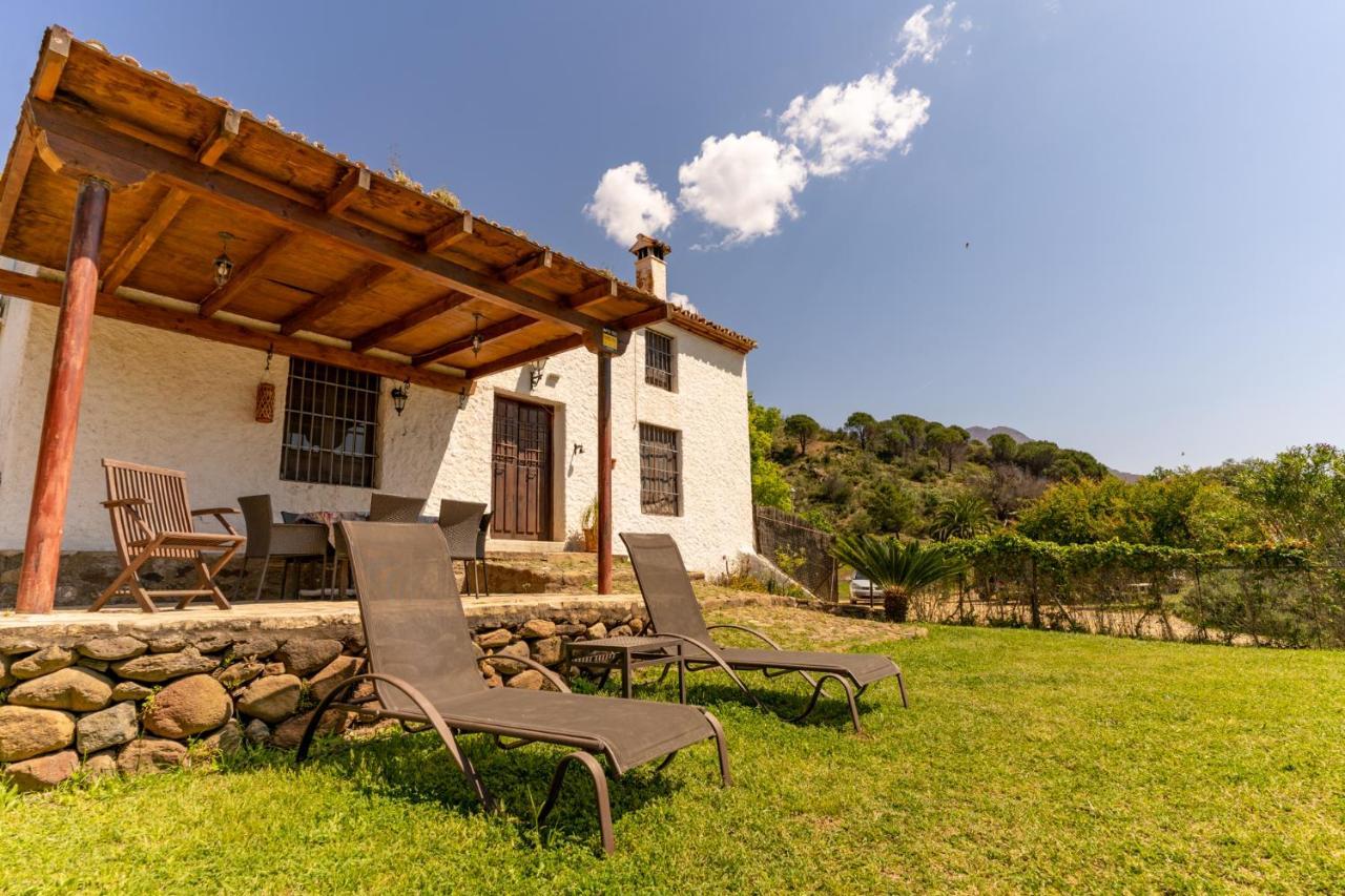Finca Sta Teresa, Casa Grande إِستيبونا المظهر الخارجي الصورة