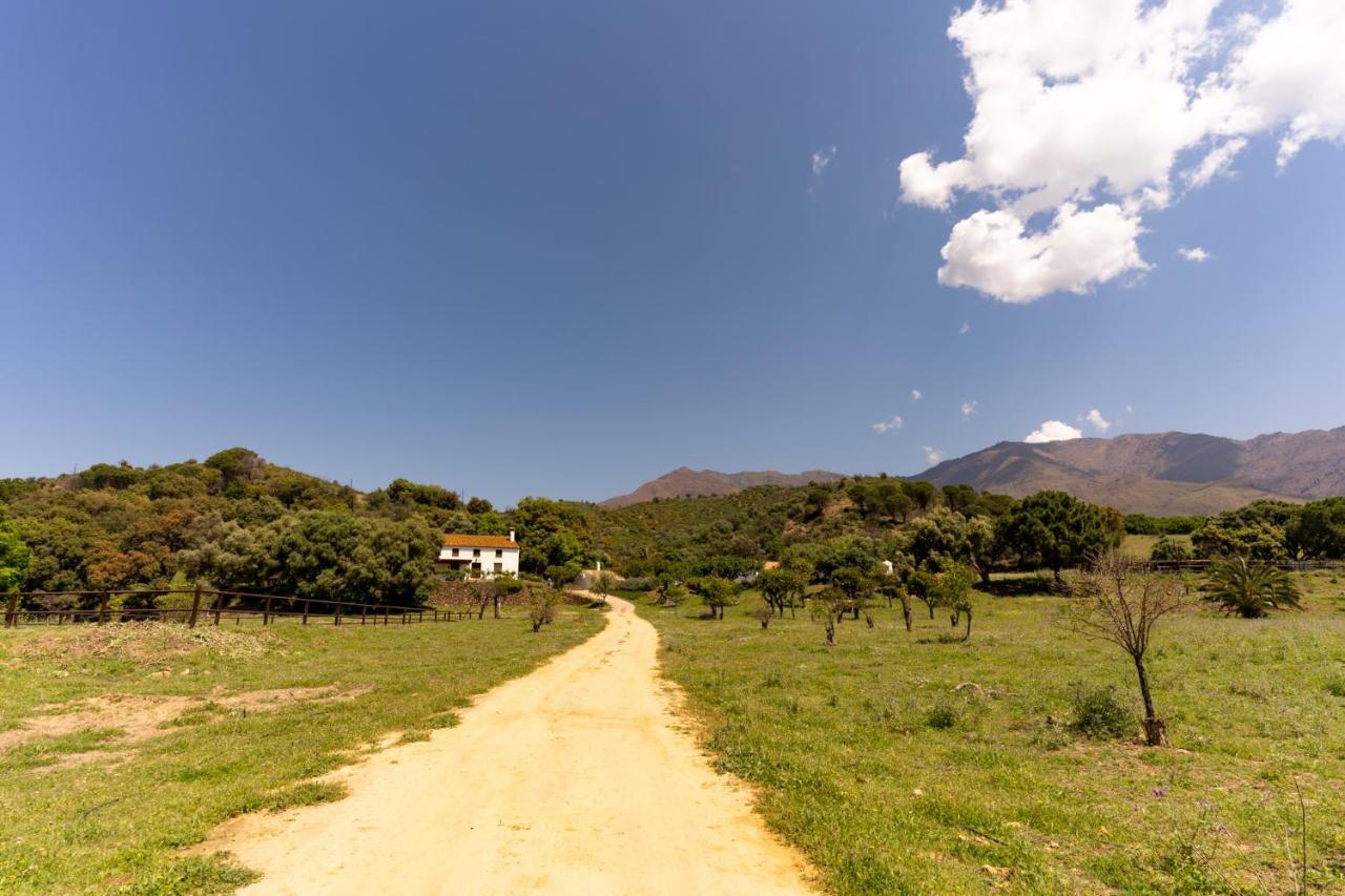 Finca Sta Teresa, Casa Grande إِستيبونا المظهر الخارجي الصورة