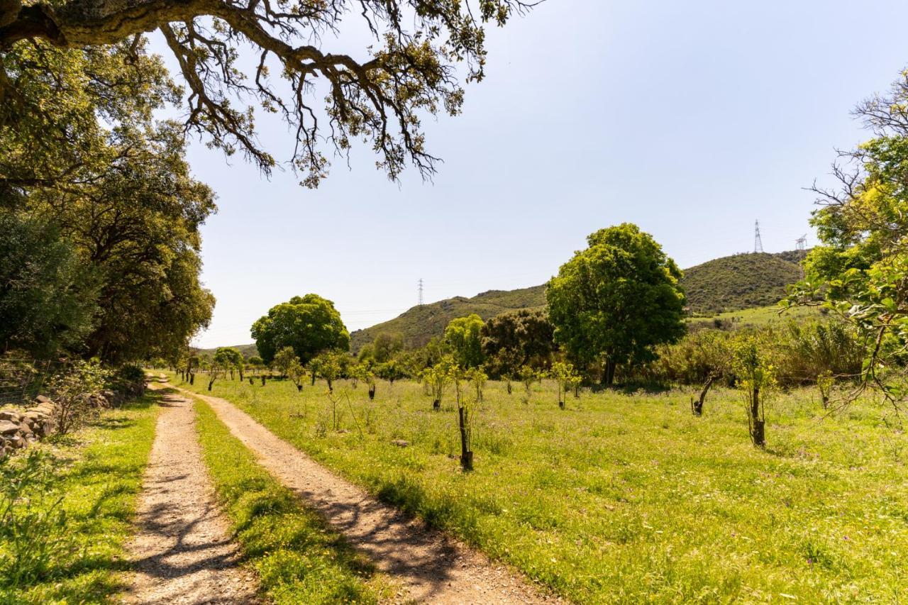Finca Sta Teresa, Casa Grande إِستيبونا المظهر الخارجي الصورة