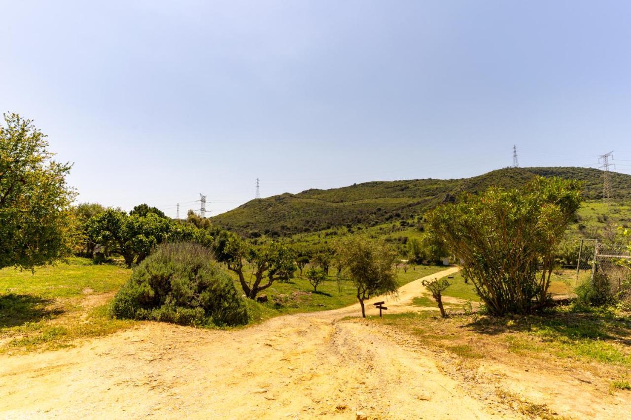 Finca Sta Teresa, Casa Grande إِستيبونا المظهر الخارجي الصورة