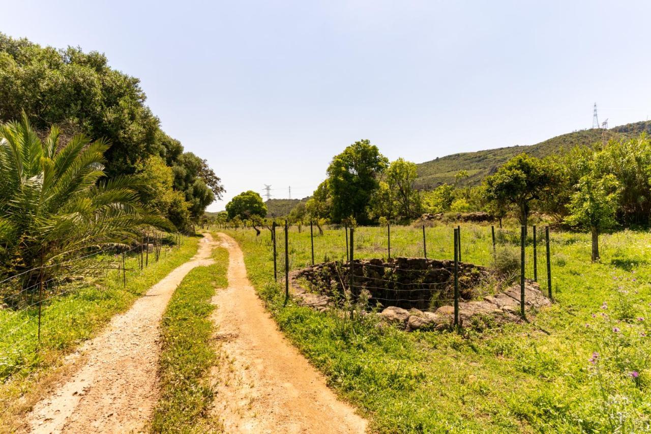 Finca Sta Teresa, Casa Grande إِستيبونا المظهر الخارجي الصورة