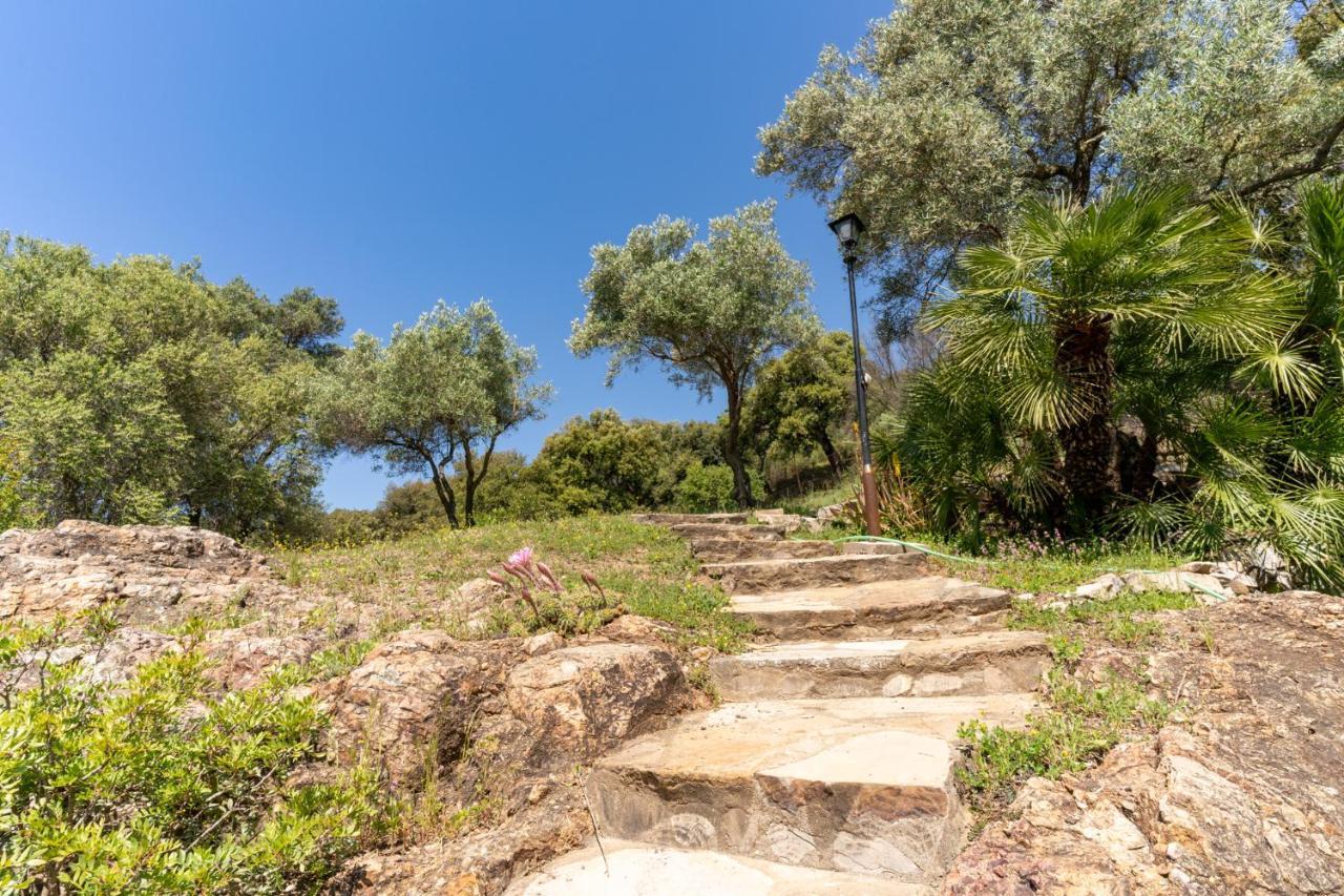 Finca Sta Teresa, Casa Grande إِستيبونا المظهر الخارجي الصورة