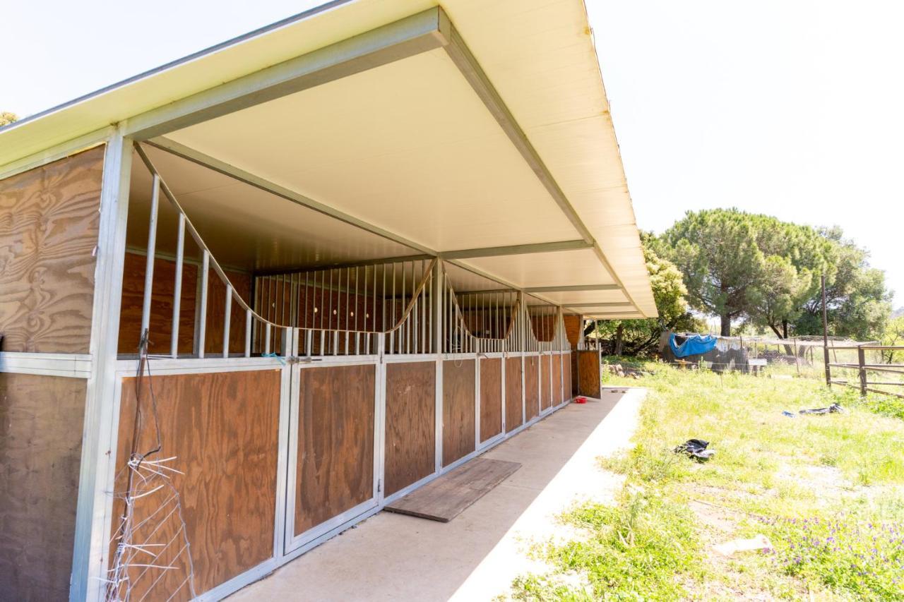 Finca Sta Teresa, Casa Grande إِستيبونا المظهر الخارجي الصورة