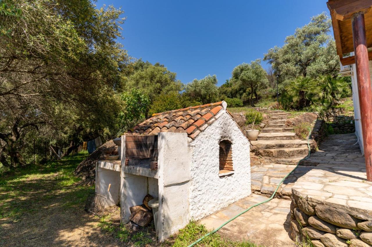 Finca Sta Teresa, Casa Grande إِستيبونا المظهر الخارجي الصورة