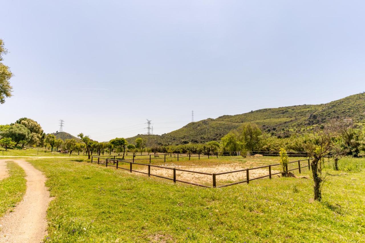 Finca Sta Teresa, Casa Grande إِستيبونا المظهر الخارجي الصورة