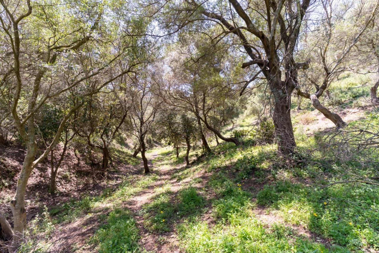 Finca Sta Teresa, Casa Grande إِستيبونا المظهر الخارجي الصورة