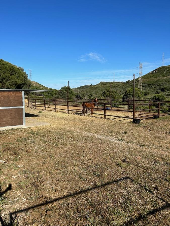 Finca Sta Teresa, Casa Grande إِستيبونا المظهر الخارجي الصورة