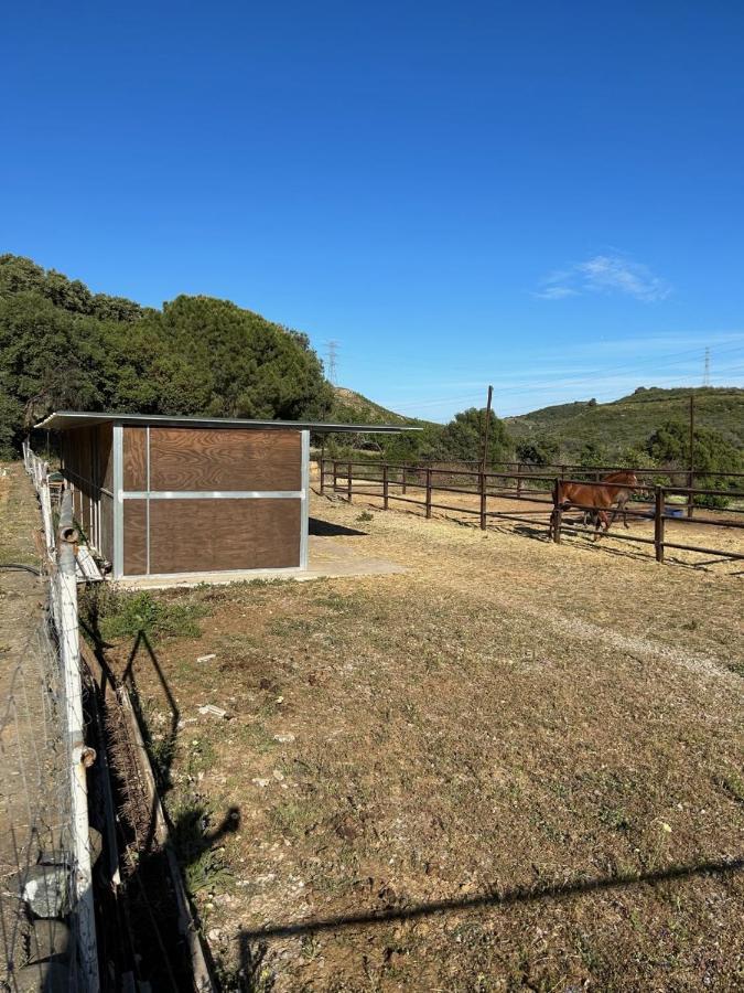 Finca Sta Teresa, Casa Grande إِستيبونا المظهر الخارجي الصورة