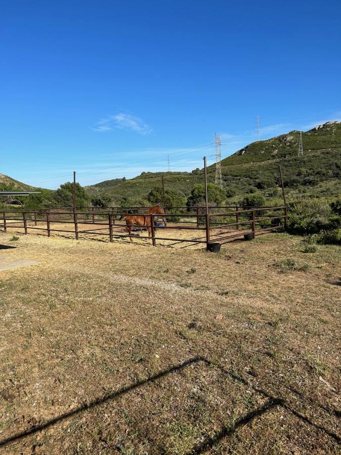 Finca Sta Teresa, Casa Grande إِستيبونا المظهر الخارجي الصورة